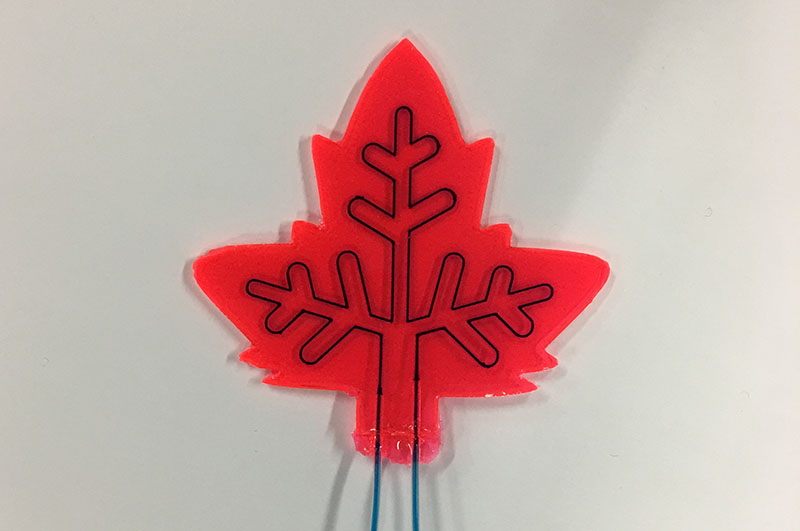 An artificial leaf designed by scientists at Eindhoven University of Technology, Netherlands December 16, 2016. Photo: REUTERS