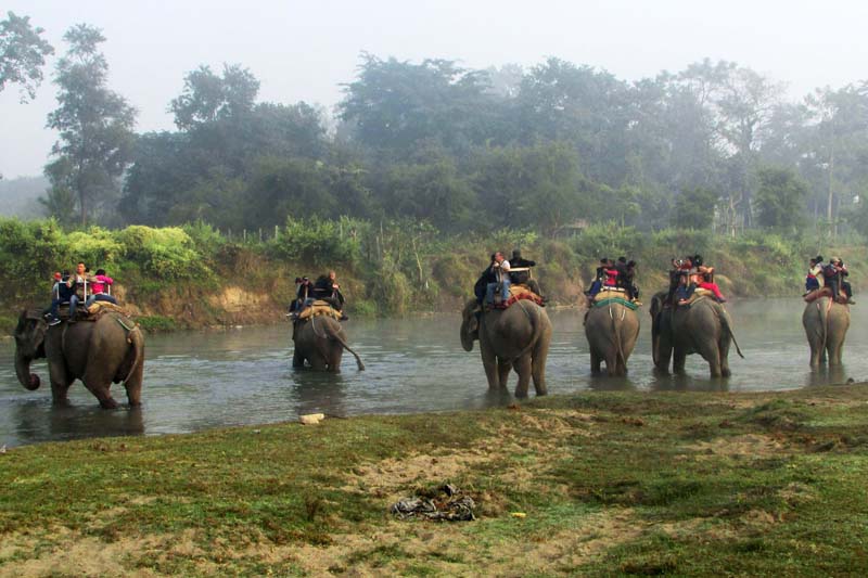 Tourists enjoy elephant rides as they visit the Chitwan National Park on Thursday, December 1, 2016. Photo: RSS    