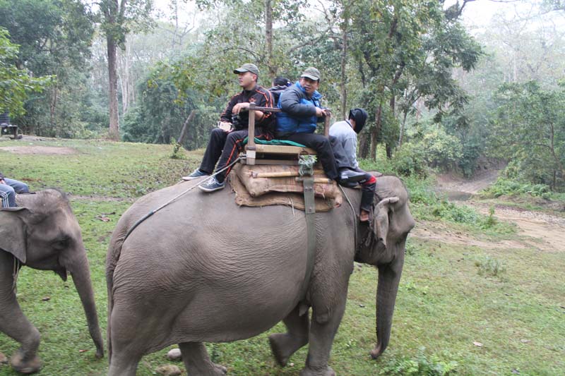 Vice-President Nanda Bahadur Pun (centre) rides an elephant as he visits the Chitwan National Park, on Tuesday, December 13, 2016. Photo: Tilak Ram Rimal