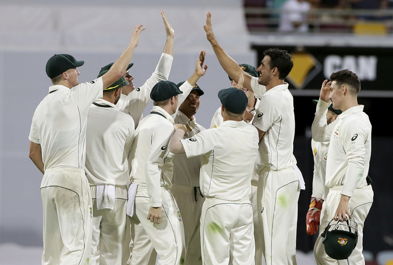 Mitchell Starc, second right, is congratulated by his teammates after dismissing Pakistan's Yasir Shah during play on day two of the first cricket test between Australia and Pakistan in Brisbane, Australia, Friday, Dec. 16, 2016. Photo: AP