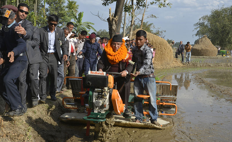 Prime Minister Pushpa Kamal Dahal plants rice in a field using a modern tractor during the inauguration of the Super Zone programme under the Agriculture Modernisation Project, in Baniyani VDC of Jhapa district, on Tuesday, January 3, 2017. Photo: PM Secretariat