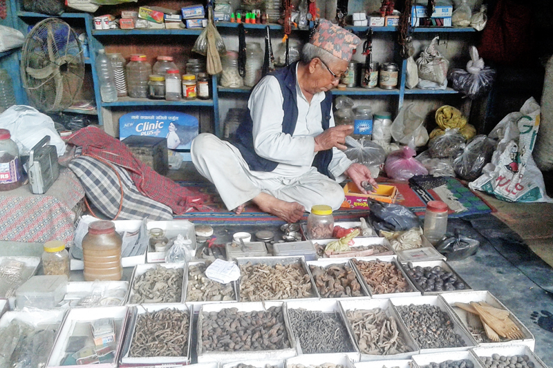A vendor waits for customers at his herbal shop in Mahendranagar of Kanchanpur district, on Monday, January 30, 2017. Photo: RSS