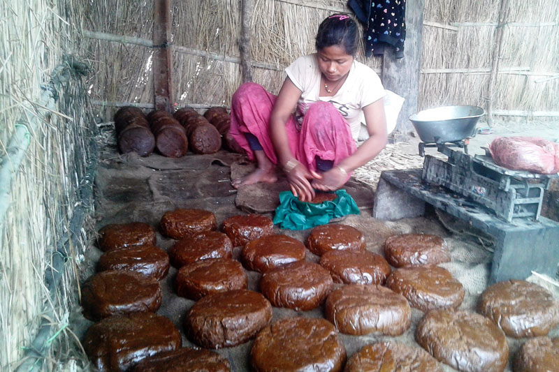 A woman weighes and packs homemade jaggery at a cottage industry in Dekhatbhuli-6 of Kanchanpur district on Sunday, February 19, 2017. Photo: RSS