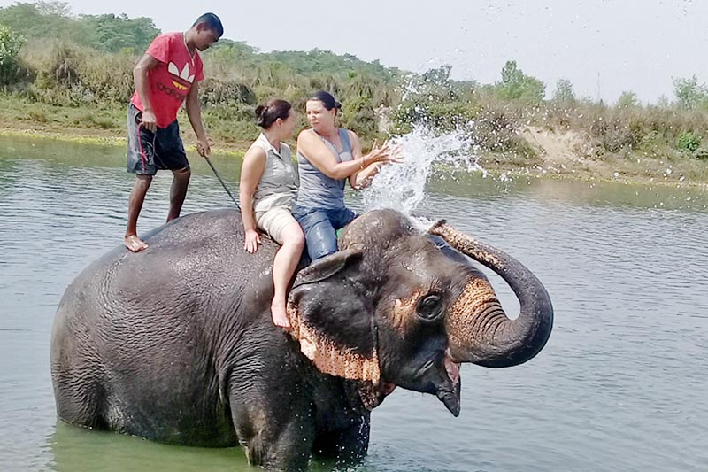 Tourists enjoy an elephant ride in the Rapti River in Sauraha of Chitwan district, on Wednesday, March 15, 2017. Photo: RSS