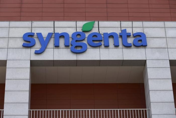 Syngenta's logo is seen at Syngenta Biotech Center in Beijing, China, on February 19, 2016. Photo: AP/File