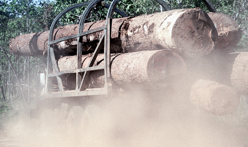 In this July 2002 file photo, dust flows from under the truck loaded with logs as it makes its way on a rural road in Preah Vihear province, north of Phnom Penh, Cambodia.  Photo: AP