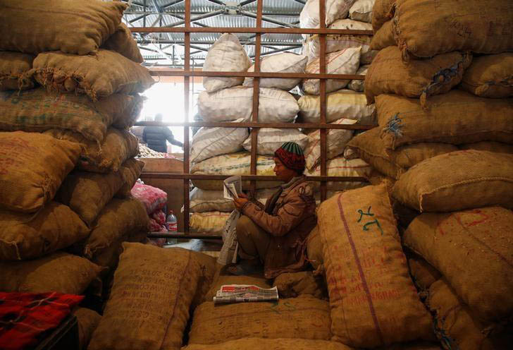 A porter sits in between the sacks of potatoes as he reads a newspaper at the vegetable market in Kathmandu, Nepal February 16, 2017. Photo: Reuters