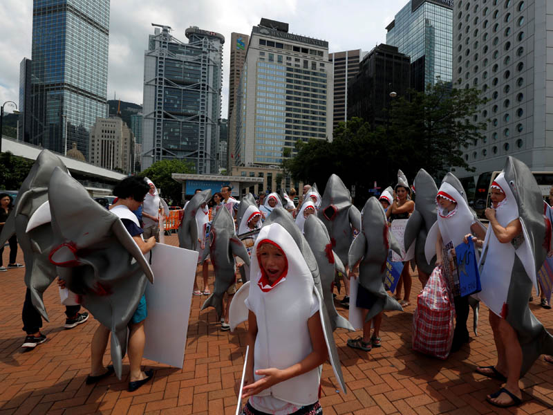 Environmental protection activists protest outside a Chinese restaurant against providing sharks fin soup in Hong Kong, China, on June 10, 2017. Photo: Reuters