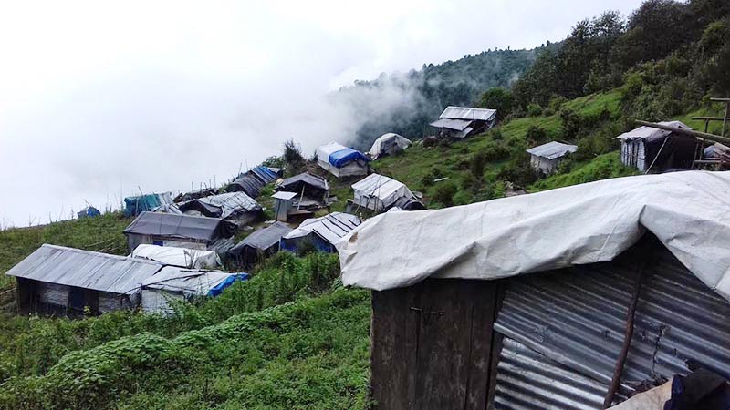 A view of temporary huts of quake victims, in Laprak of Dharche Rural Municipality, Gorkha, on Tuesday, July 11, 2017. Photo: THT
