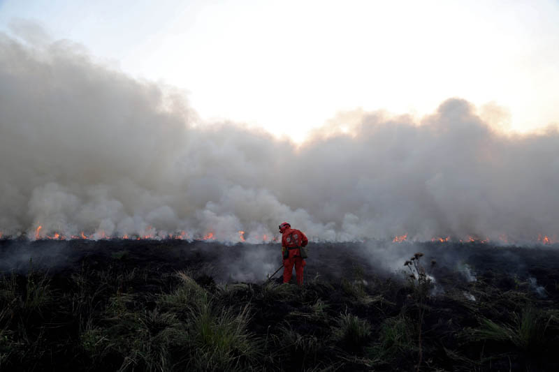 A firefighter works at the site of a grassland fire from Mongolia in Hulunbuir, Inner Mongolia Autonomous Region, China July 2, 2017. Photo: Reuters