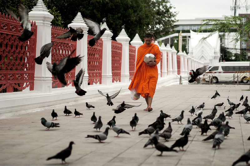 A buddhist monk walks for alms offerings at Wat Benchamabophit (Marble Temple) in Bangkok, Thailand August 24, 2017. Photo: Reuters