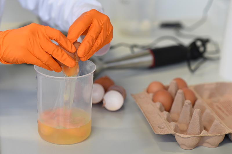 A laboratory technician of the Bavarian State Office of Health and Food Safety (Bayerische Landesamt fu00fcr Gesundheit und Lebensmittelsicherheit) checks eggs for the harmful insecticide fipronil in a laboratory in Erlangen, Germany, on August 10, 2017. Photo: Reuters