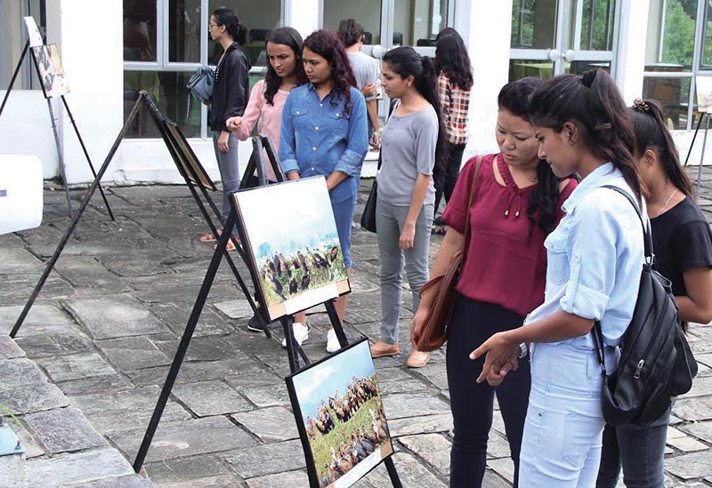 Women looking at photos during an exhibition organised to mark International Vulture Awareness Day, in Pokhara, on Saturday. Photo: THT