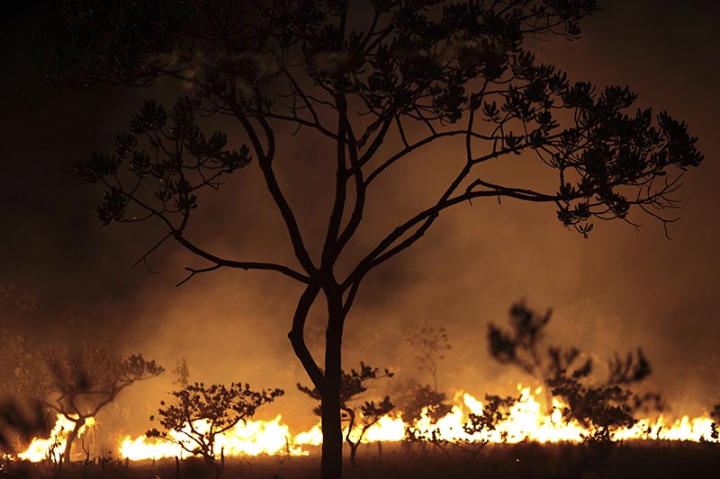 A wild fire burns in the Chapada dos Veadeiros National Park in Goias state, Brazil, on Saturday, October 28, 2017. Photo: AP