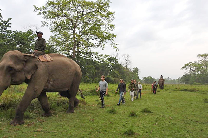 Tourists following elephant as they roam around a community forest in Nawalparasi district, on Friday, October 13, 2017. Photo: Shree Ram Sigdel