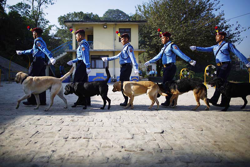 Nepali police personnel parade dogs on Kukur Tihar, the second day of the second largest festival at the Central Police Dog Training School in Kathmandu, on Wednesday, October 18, 2017. Photo: Skanda Gautam/THT