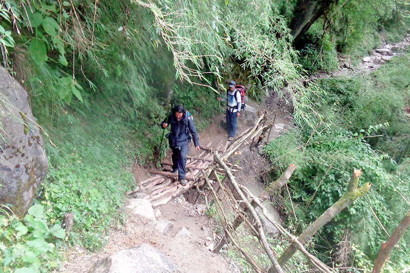 Trekkers making a perilous journey on their way to Annapurna Base Camp, on Monday, October 30, 2017. Photo: RSS