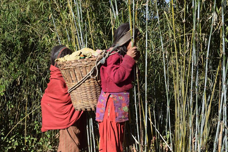 Chepang women returning home after collecting food from neaby jungle. Photo: Keshav Adhikari