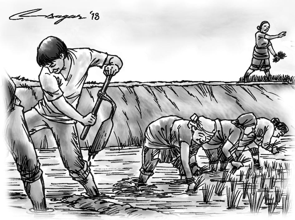 Farmers working in a field. Illustration: Ratna Sagar Shrestha/THT