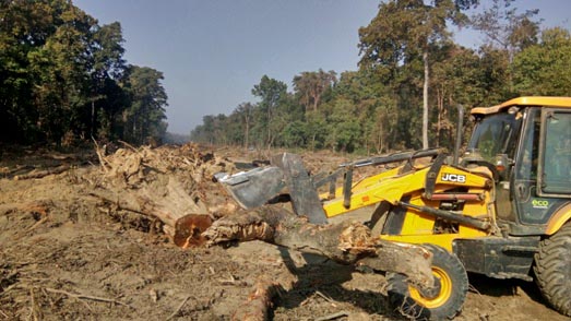 Heavy equipmentsu2019 being used to clear off trees along the Kathmandu-Nighgard fast track in Bara district, on Monday, January 1, 2018. Photo: Pushparaj Khatiwada