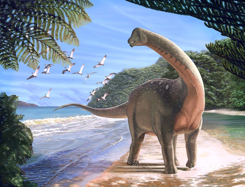 Artist's life reconstruction of the titanosaurian dinosaur Mansourasaurus shahinae on a coastline in what is now the Western Desert of Egypt approximately 80 million years ago is pictured in this undated handout image obtained by Reuters on January 29, 2018. Photo: Andrew McAfee/Carnegie Museum of Natural History/Handout via Reuters