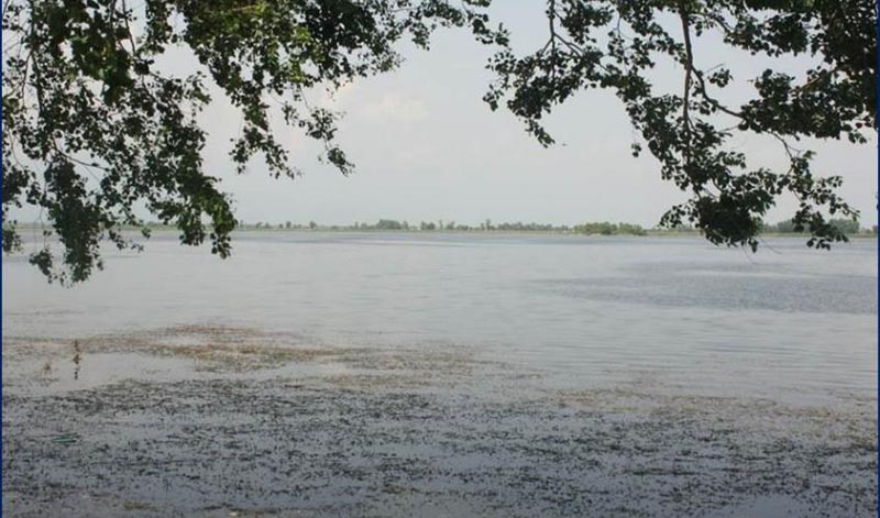 This undated image shows Jagadishpur Reservoirin in the Kapilvastu district of the lowland Tarai. Photo: IUCN