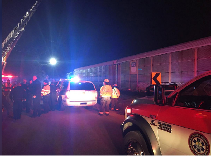 Emergency crews attend to the site of a train collision near Pine Ridge, Lexington County, South Carolina, U.S., February 4, 2018 in this image obtained from social media. County of Lexington. Photo: Reuters
