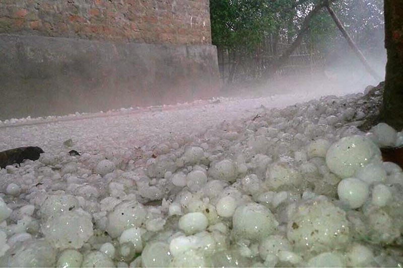 Piles of hailstones deposited in Matsari area of Durga Bhagawati Rural Municipality, in Rautahat district, on Friday, March 30, 2018. Photo: Prabhat Kumar Jha