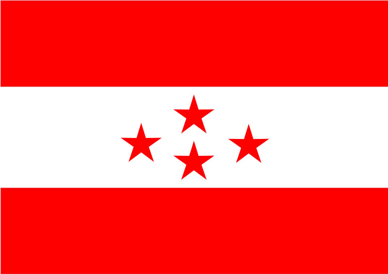 Nepali Congress flag