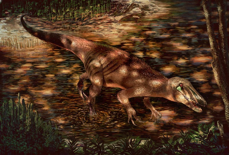 The newly discovered predatory dinosaur, Tratayenia rosalesi, is shown in this handout illustration crossing a stream in what is now Patagonia, Argentina, roughly 85 million years ago. Andrew McAfee, Carnegie Museum of Natural History/Handout via Reuters