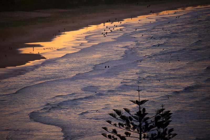 Surfers sit on top of their boards as people walk along the shoreline at sunset on Palm Beach, located on the Gold Coast, Australia April 2, 2018. Photo: Reuters
