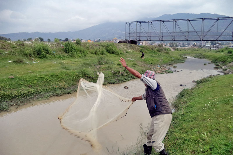 An elderly man is seen throwing fishing net to catch fish on Bagmati River, in Gokarnwshwor, on the nothern outskirt of Kathmandu, on Monday, April 30, 2018. Photo: RSS