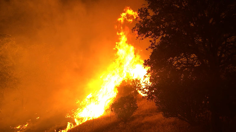In this photo provided by the California Department of Forestry and Fire Protection, the Pawnee Fire wildfire burns northeast of Clearlake Oaks, California, early Sunday, on June 24, 2018. Photo: California Department of Forestry and Fire Protection via AP