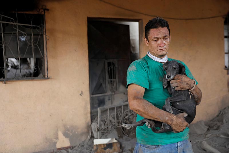 Walter Amilcar Garcia, 42, carries the rescued dog of his brother at the entrance of his damaged house, after the eruption of the Fuego volcano at El Rodeo in Escuintla, Guatemala June 6, 2018. Photo: Reuters