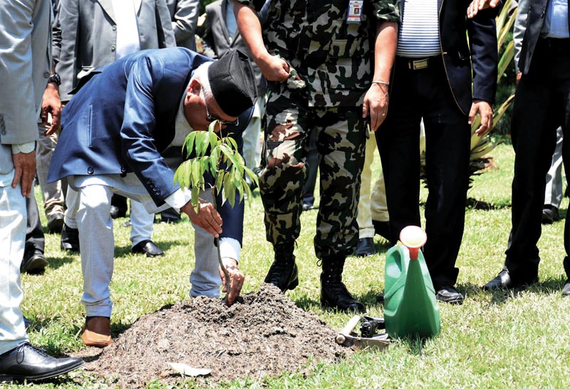 Prime Minister KP Sharma Oli planting a tree on the occasion of World Environment Day, in Kathmandu, on Tuesday, June 5, 2018. Photo: THT