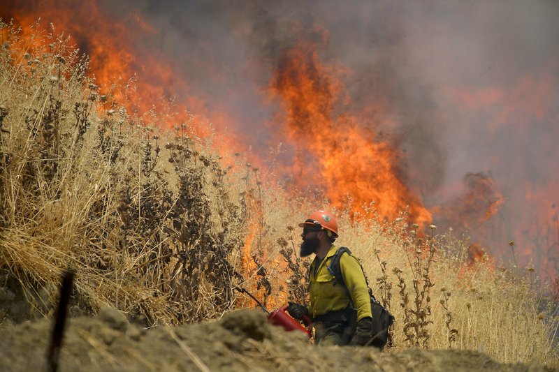 Hot Shot crews from Mendocino use backfires to help contain the County Fire along Highway 129 near Lake Berryessa in Yolo County, Calif, on Tuesday, July 3, 2018. Photo: AP