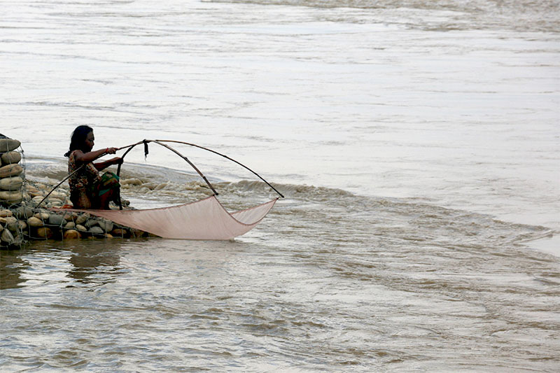 A woman lays down her fishing net in Narayani River at Triveni in Nawalparasi on Thursday, August 2, 2018. Photo: RSS