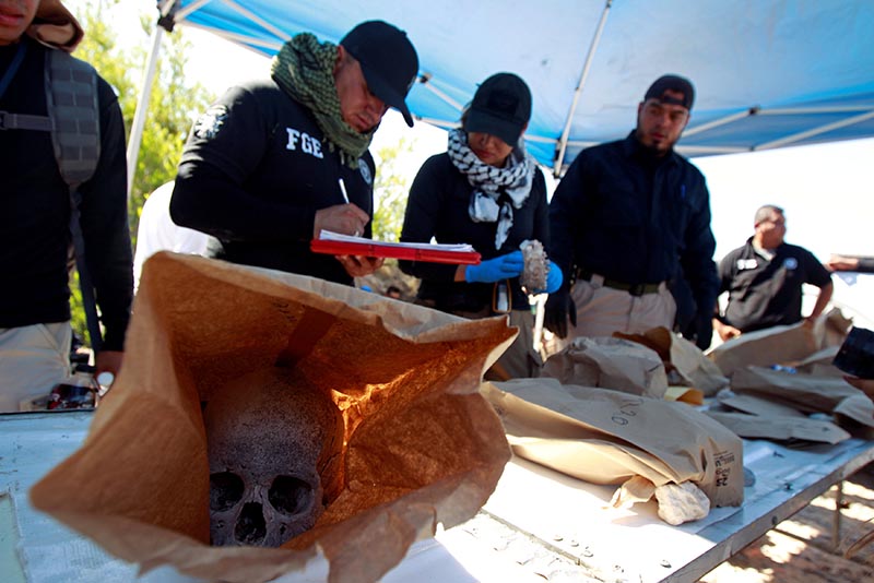 Forensic technicians register the skeletal remains found during a search for clandestine graves by members of the state police and the state prosecutor's office in the municipality of Guadalupe, in the Juarez Valley, Mexico, on August 18, 2018. Photo: Reuters