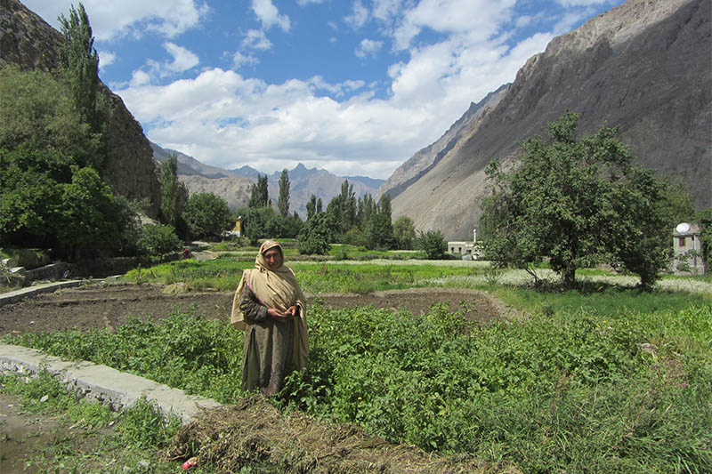 A resident of Siksa, Pakistan, stands near crops irrigated with water from a new pipeline and storage tank system serving the village, September 4, 2018. Photo: Reuters