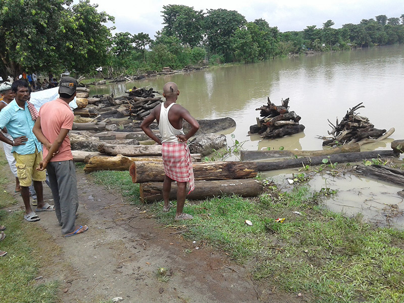 Locals stand on the bank of Koshi river beside piles of collected wood that came floating in the river, in Hanumannagar Kankalini Municipality, Saptari, on Saturday, October 13, 2018. Photo: Byas Shankar Upadhyay/THT
