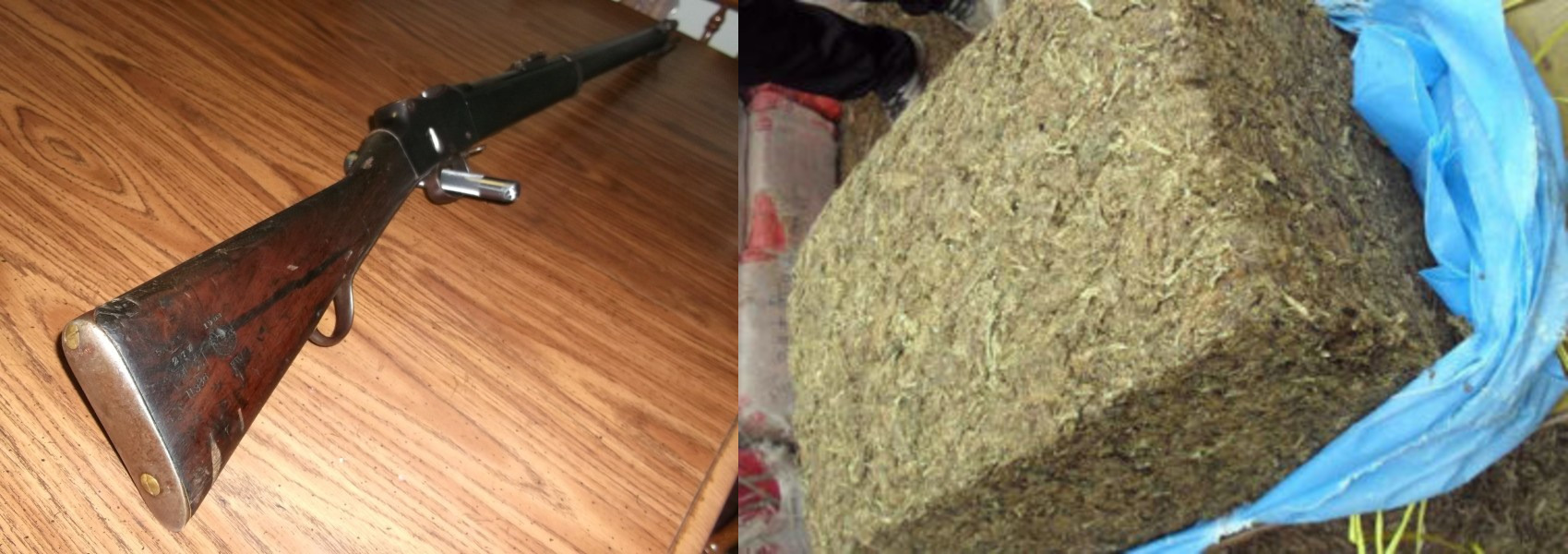 A combo image of muzzleloader and cache of cannabis.