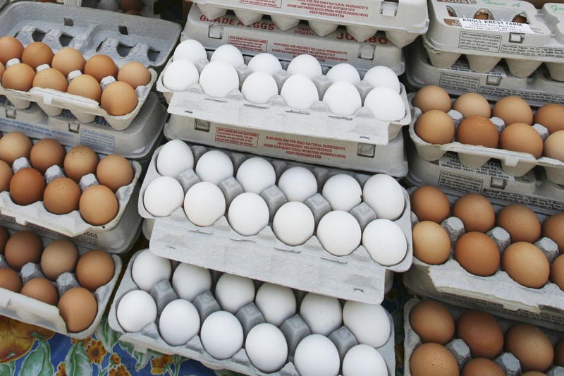 FILE: In this May 14, 2008 file photo, cartons of eggs are displayed for sale in the Union Square green market in New York. Photo: AP/file