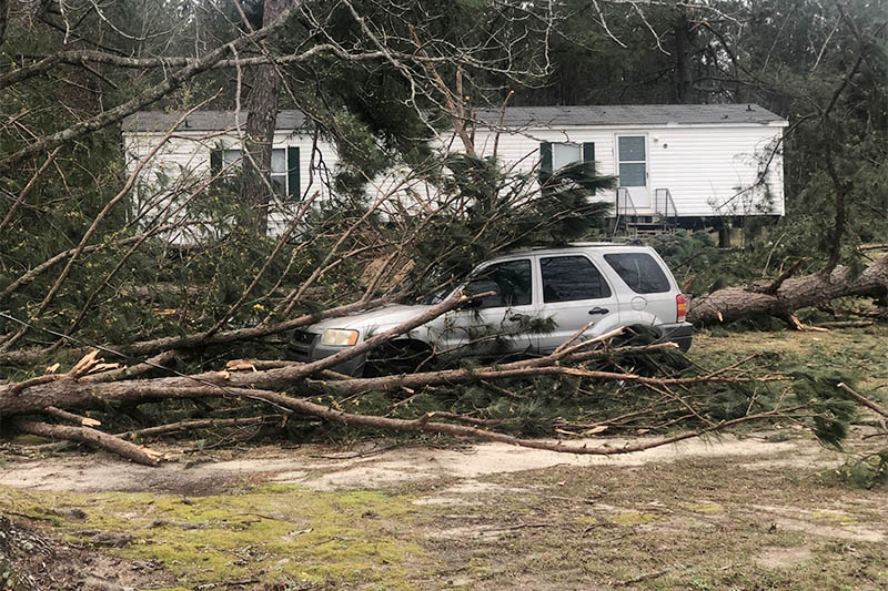 A tree fell on a car where two back-to-back tornadoes touched down in Lee County near Beauregard, Alabama, US, March 4, 2019. Photo: Reuters