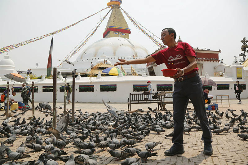 n this May 9, 2019 photo, Apa Sherpa feeds pigeons in Boudhanath Stupa in Kathmandu, Nepal. Apa Sherpa has stood on top of the world more times than all but one other person. Now he wants to make sure no one feels compelled to follow in his footsteps. Photo: AP