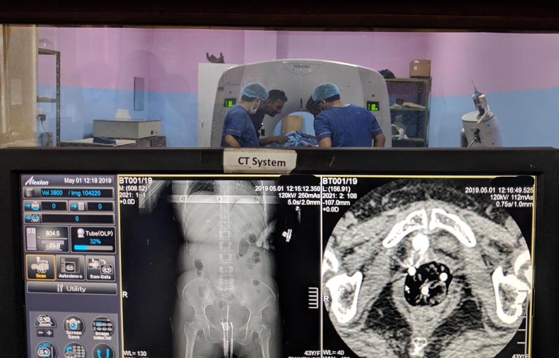Scanned image of the body appears on a computer screen while the doctors are examining a patient in the background. Photo: THT