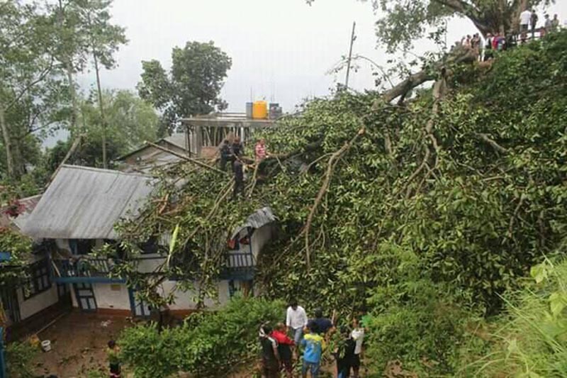 Locals gather around the house damaged by an uprooted tree during a storm in Khandbari Municipality of Sankhuwasabha district on Monday, May 20, 2019. Photo: Niroj Koirala/ THT