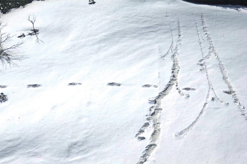 Footprints are seen in the snow near Makalu Base Camp, on April 9, 2019. Photo: Reuters