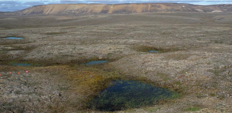 General view of a landscape of partially thawed Arctic permafrost near Mould Bay, Canada, in this handout photo released June 18, 2019. Photo: Louise Farquharson/Handout via Reuters