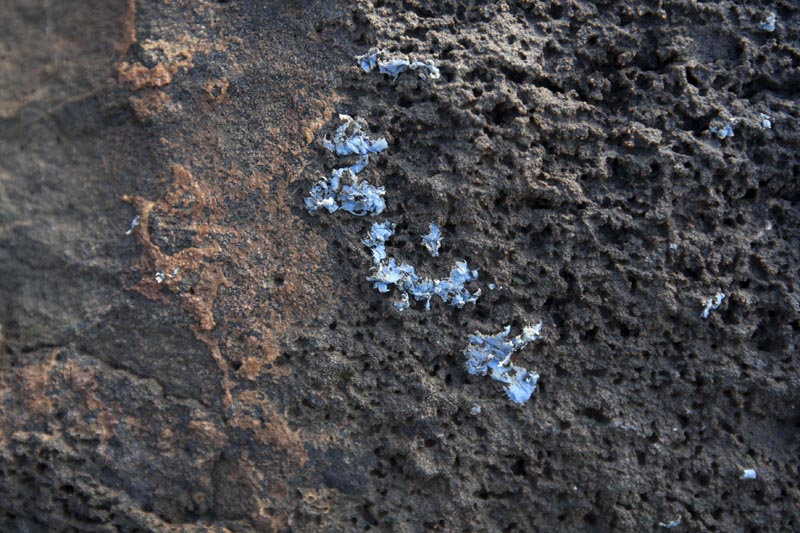 'Plasticrusts' are see on the surface of rocks in Madeira island, on Friday, June 21, 2019. Photo: Ignacio Gestoso Garcia/MARE via AP