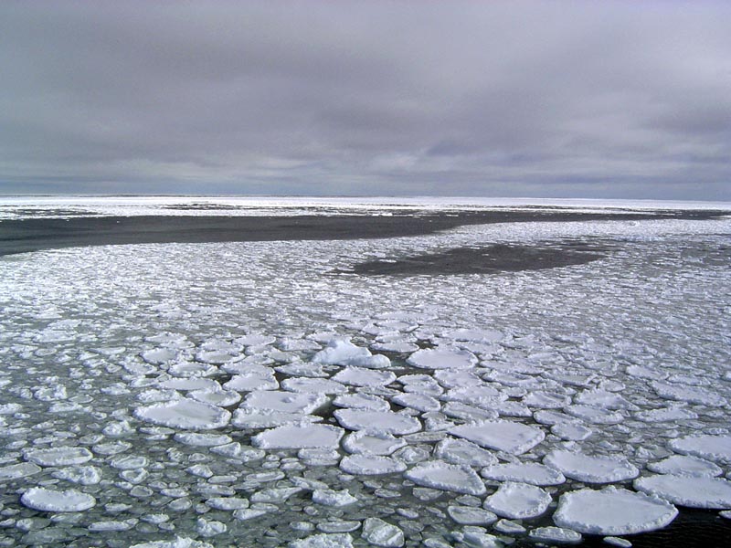 This January 2017 photo provided by Ted Scambos shows sea ice on the ocean surrounding Antarctica during an expedition to the Ross Sea. Photo: Ted Scambos/National Snow and Ice Data Center via AP